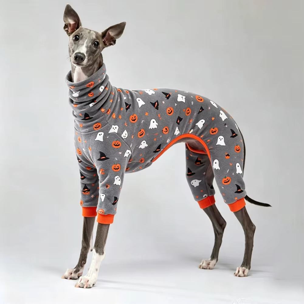 Sudadera cálida de calabaza Halloween para galgos y Whippets