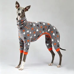 Sudadera cálida de calabaza Halloween para galgos y Whippets