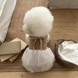 Vestido de encaje con lazo para perros pequeños, primavera y verano