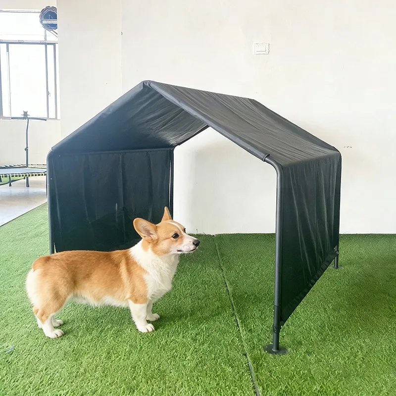 Perro descansando bajo la sombrilla en un entorno natural