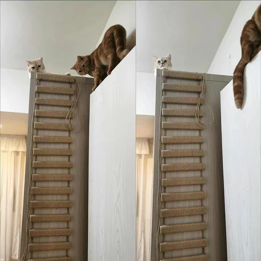Estantes de madera maciza para gatos montados en la pared