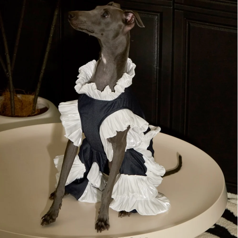 Vestido de fiesta de verano elegante para Galgo Italiano y Whippet