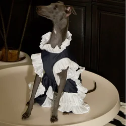 Vestido de fiesta de verano elegante para Galgo Italiano y Whippet