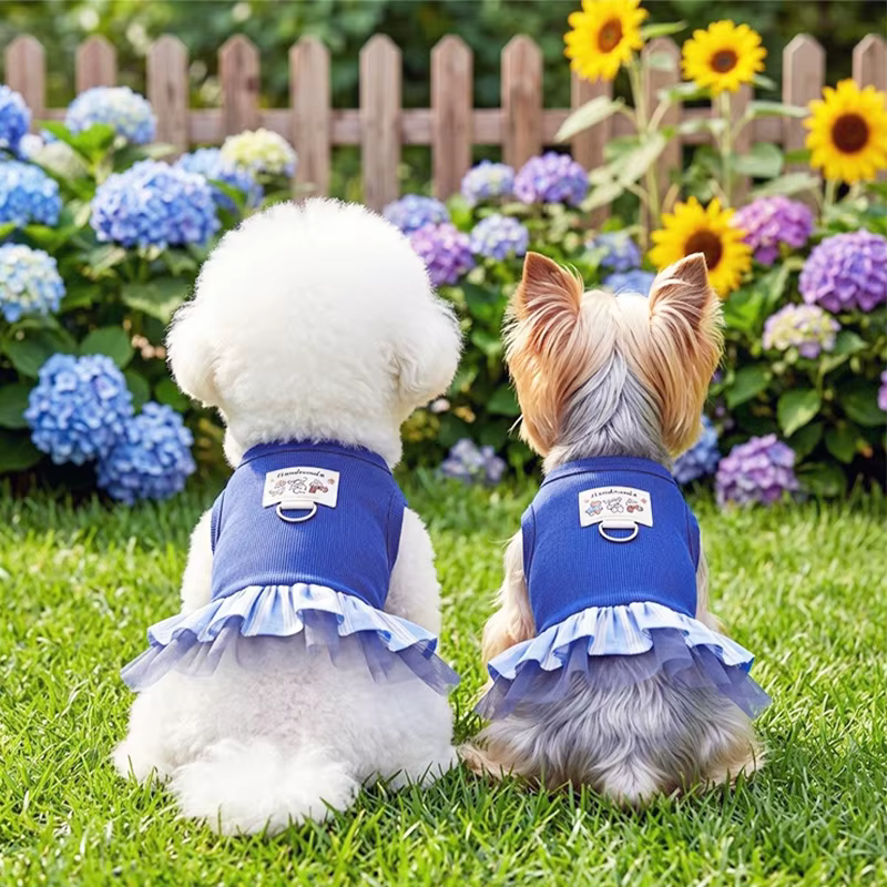 Vestido de verano con encaje para perros y gatos – Chihuahua y Yorkie - imagen 5