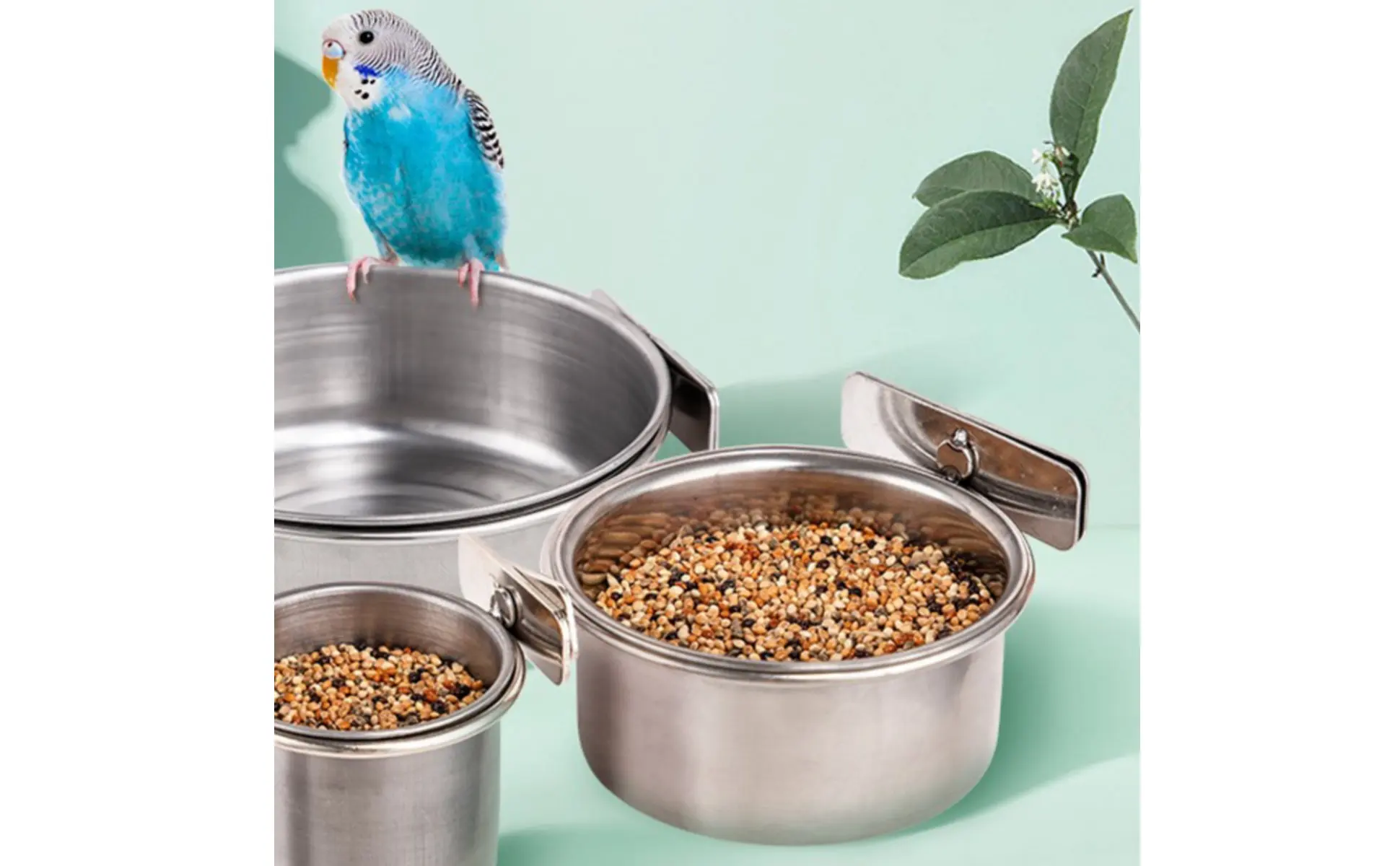 Cuenco colgante de acero inoxidable para aves