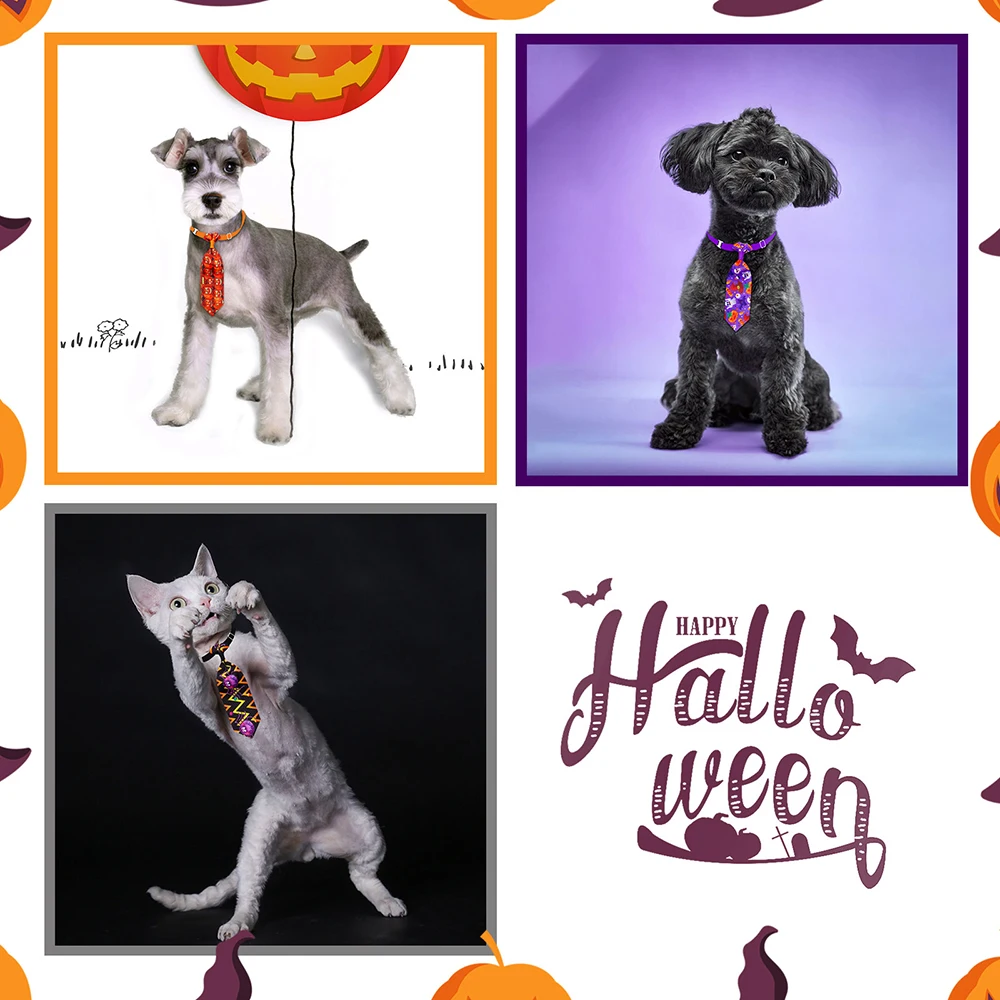 Gato con corbata de Halloween