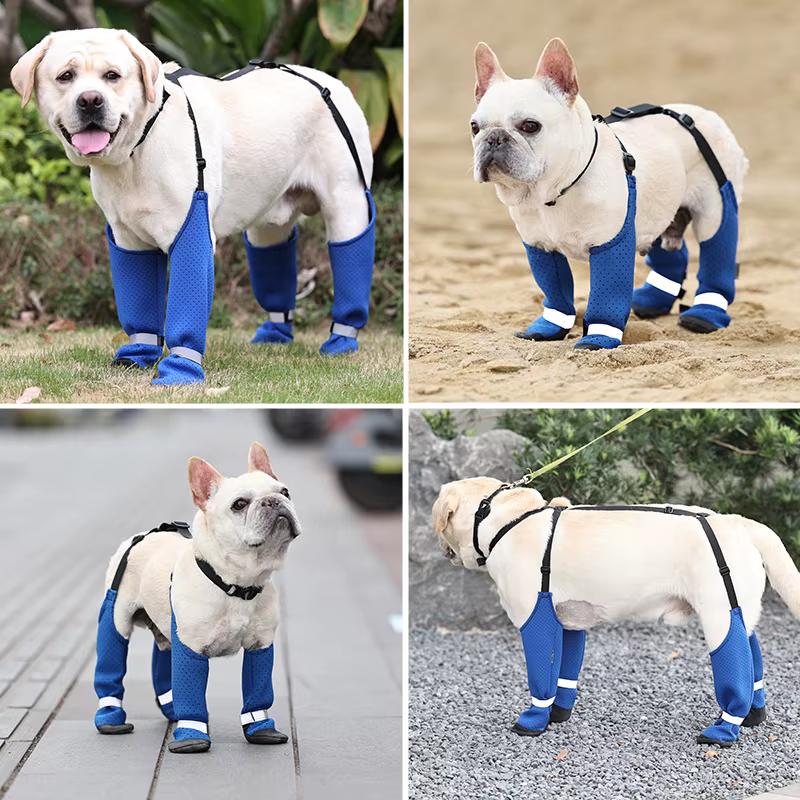 Zapatos para perros transpirables de verano – Antideslizantes y resistentes para paseos - imagen 2