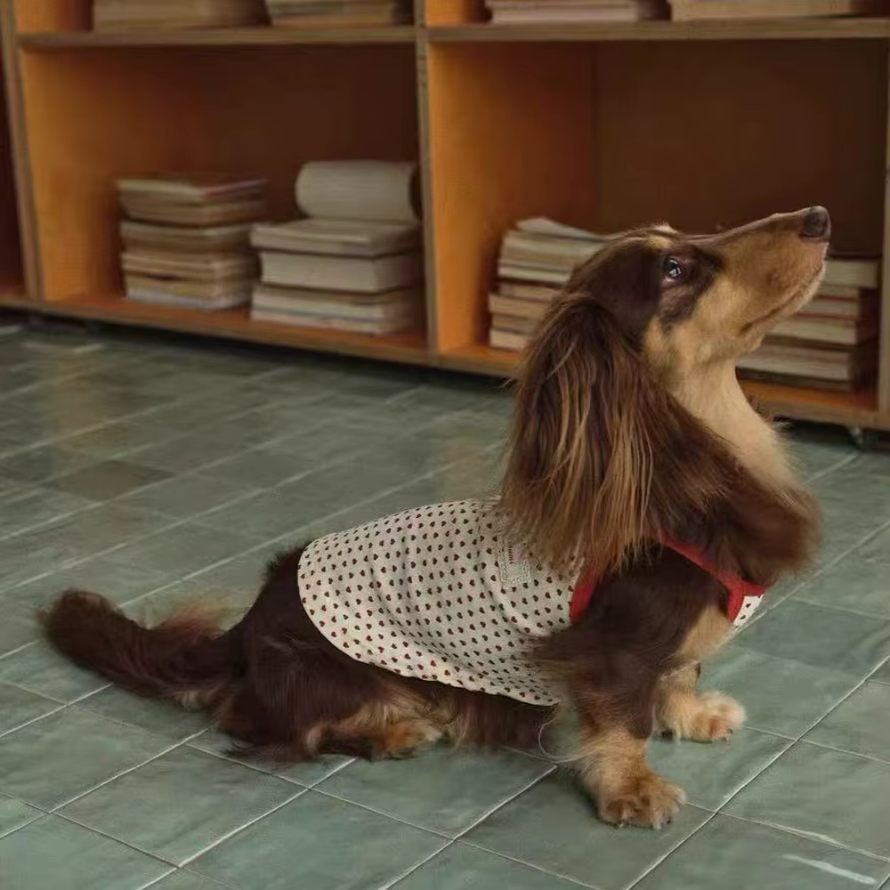 Vestido de algodón con lunares para perros salchicha, falda de verano - imagen 5
