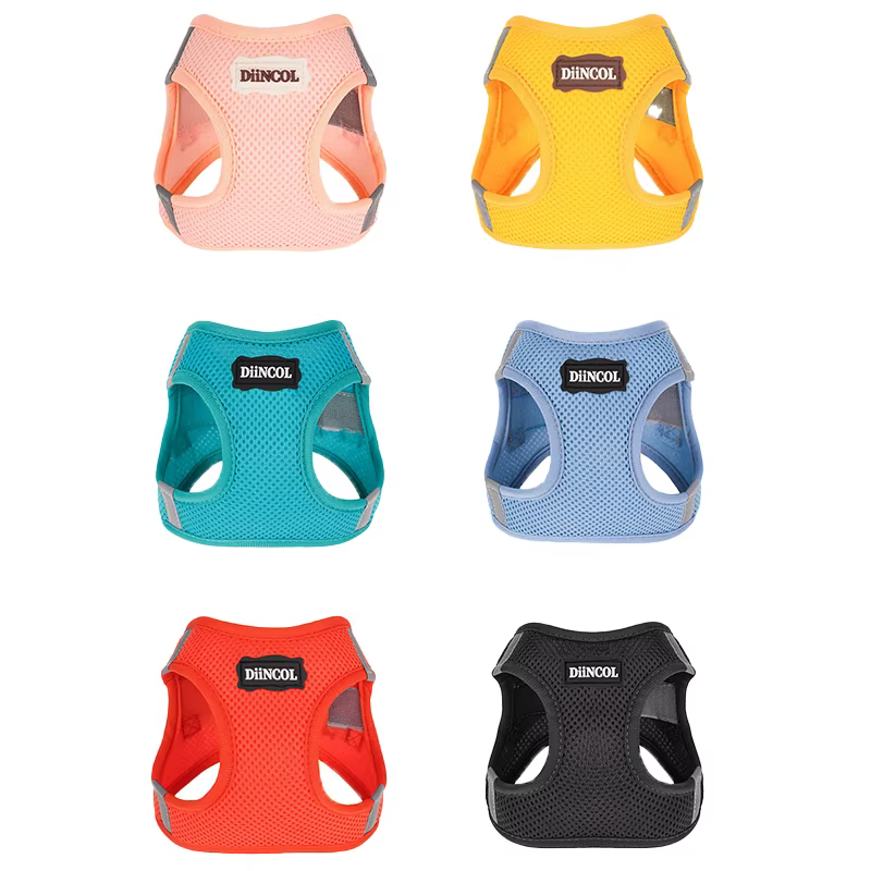 Conjunto de arnes para mascotas pequeño en colores variados