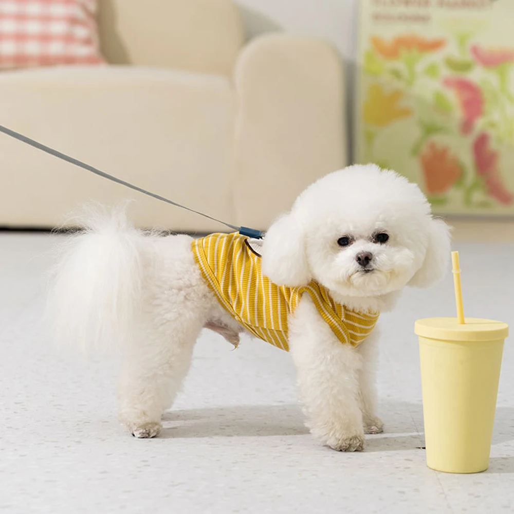 Chaleco de verano para perros pequeños con diseño de oso rayado - imagen 2