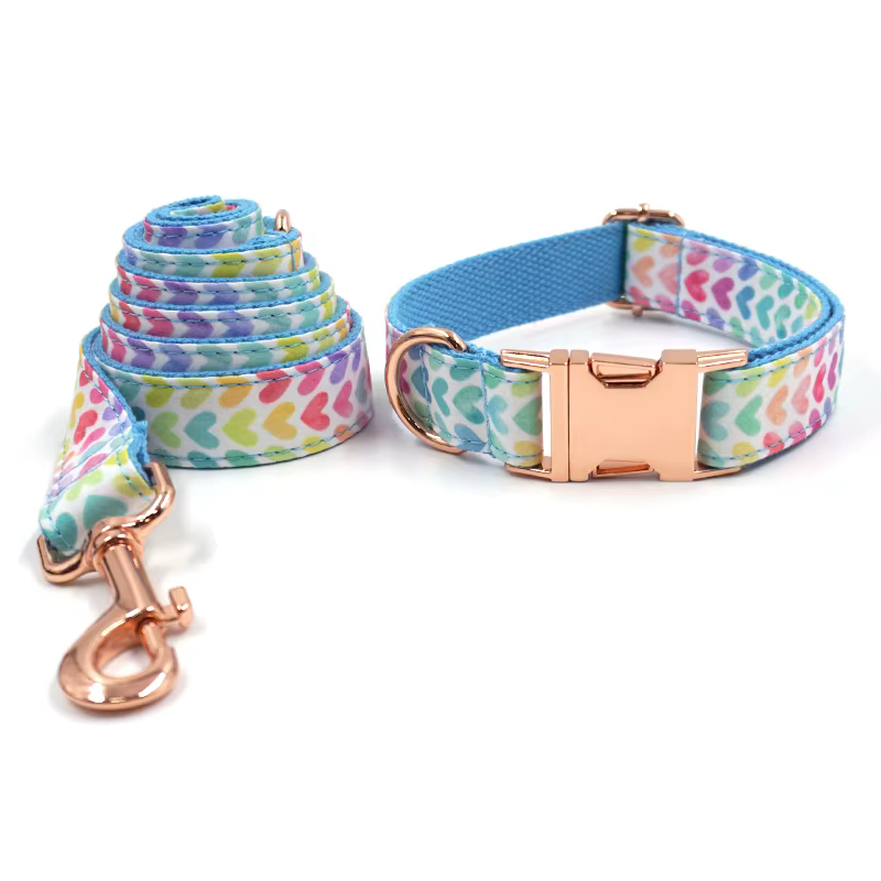 Conjunto collar para perro pequeño acolchado con correa y bolsas - imagen 2