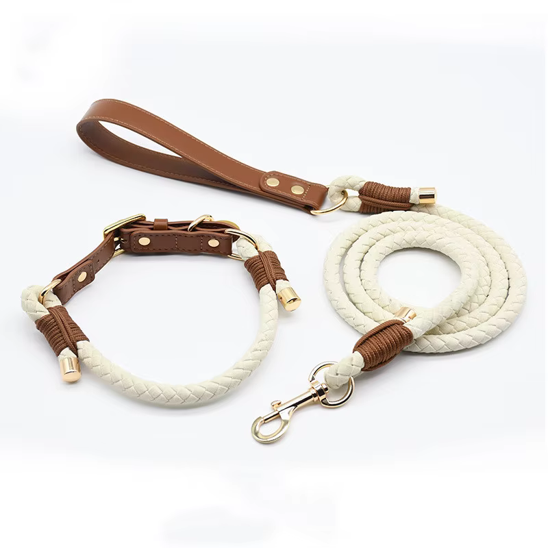 Collar y correa trenzados para perro – Paseo y adiestramiento