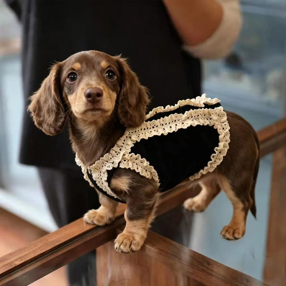 Vestido floral de algodón sin mangas para perras Dachshund - imagen 3