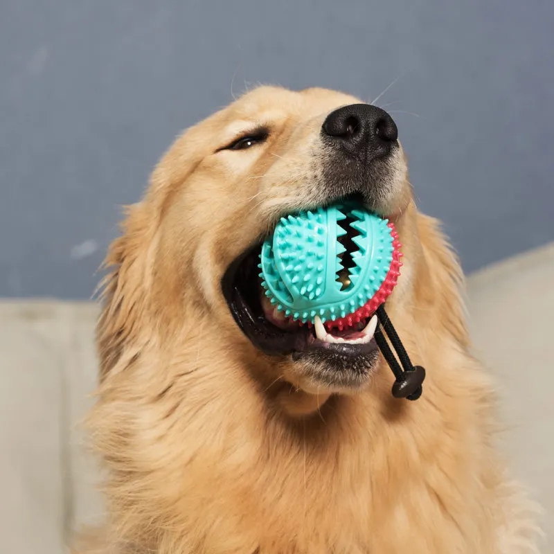 Juguete masticable para perros con campana y pelota dispensadora
