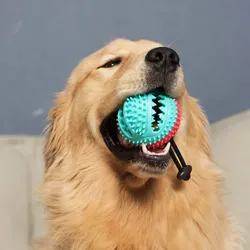 Juguete masticable para perros con campana y pelota dispensadora