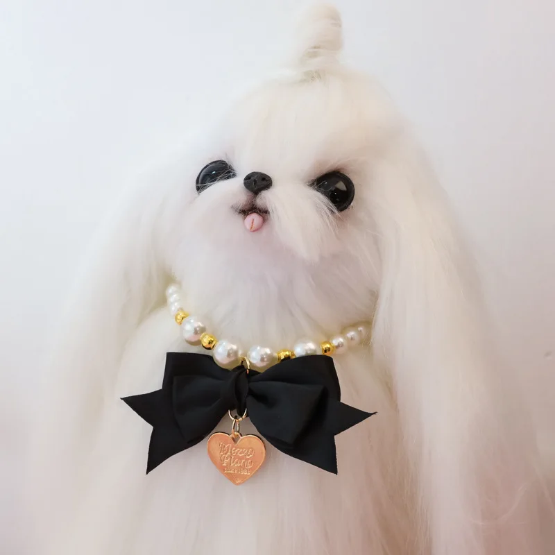 Gatito usando el collar de perlas en evento