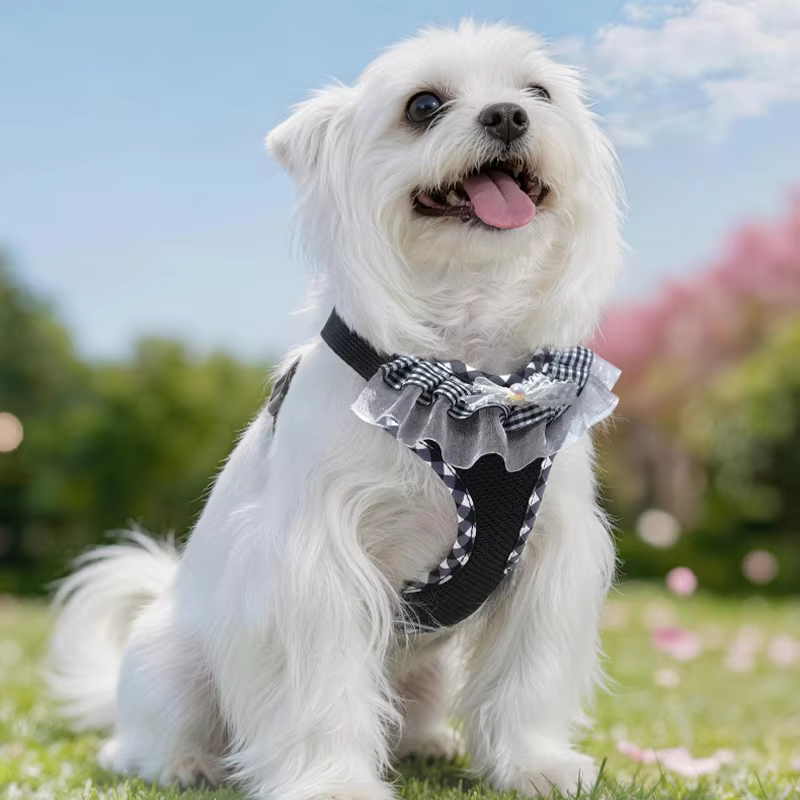 Arnés y correa de encaje para perros y gatos – Chaleco transpirable - imagen 3