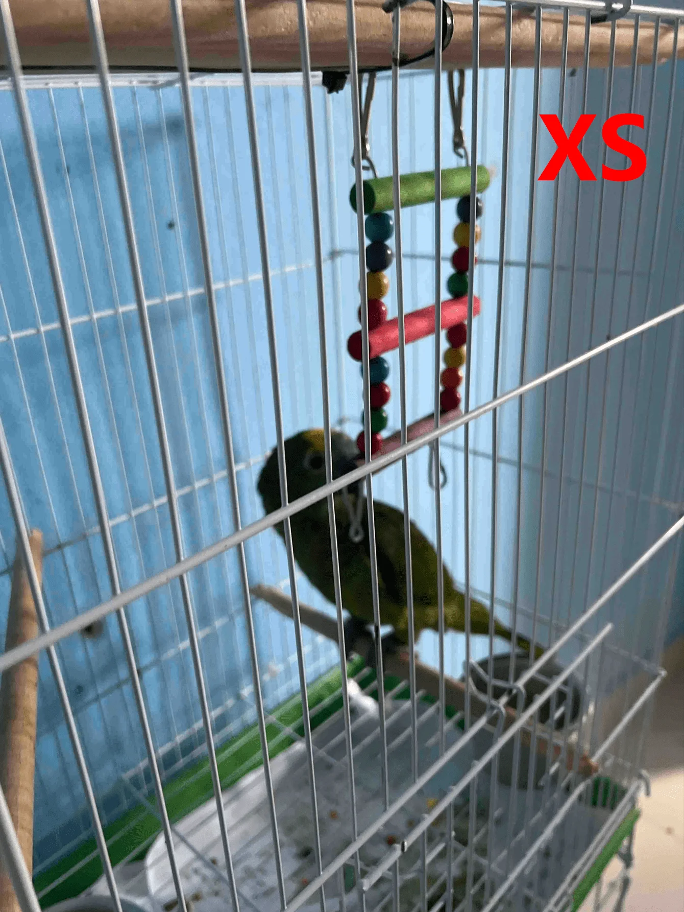 Comparación de tamaños de escalera para pájaros