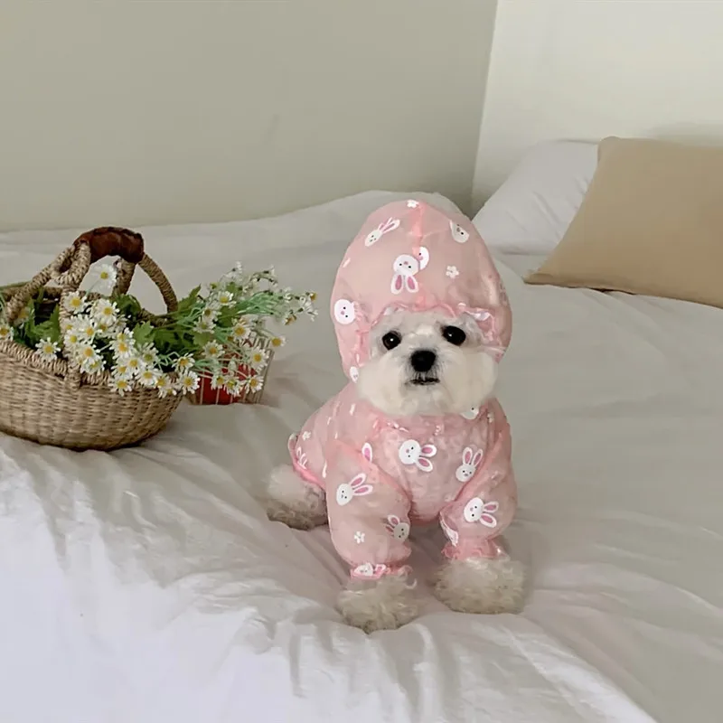 Perro pequeño usando el traje en parque