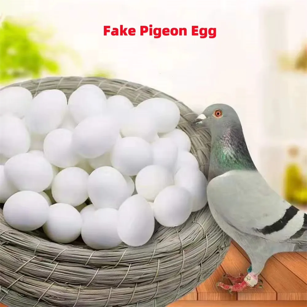 Huevos falsos para cría de palomas – Simuladores de incubación