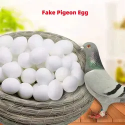 Huevos falsos para cría de palomas – Simuladores de incubación