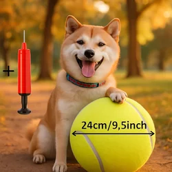 Pelota para Perros con Bomba Incluida – Entrenamiento y Juego