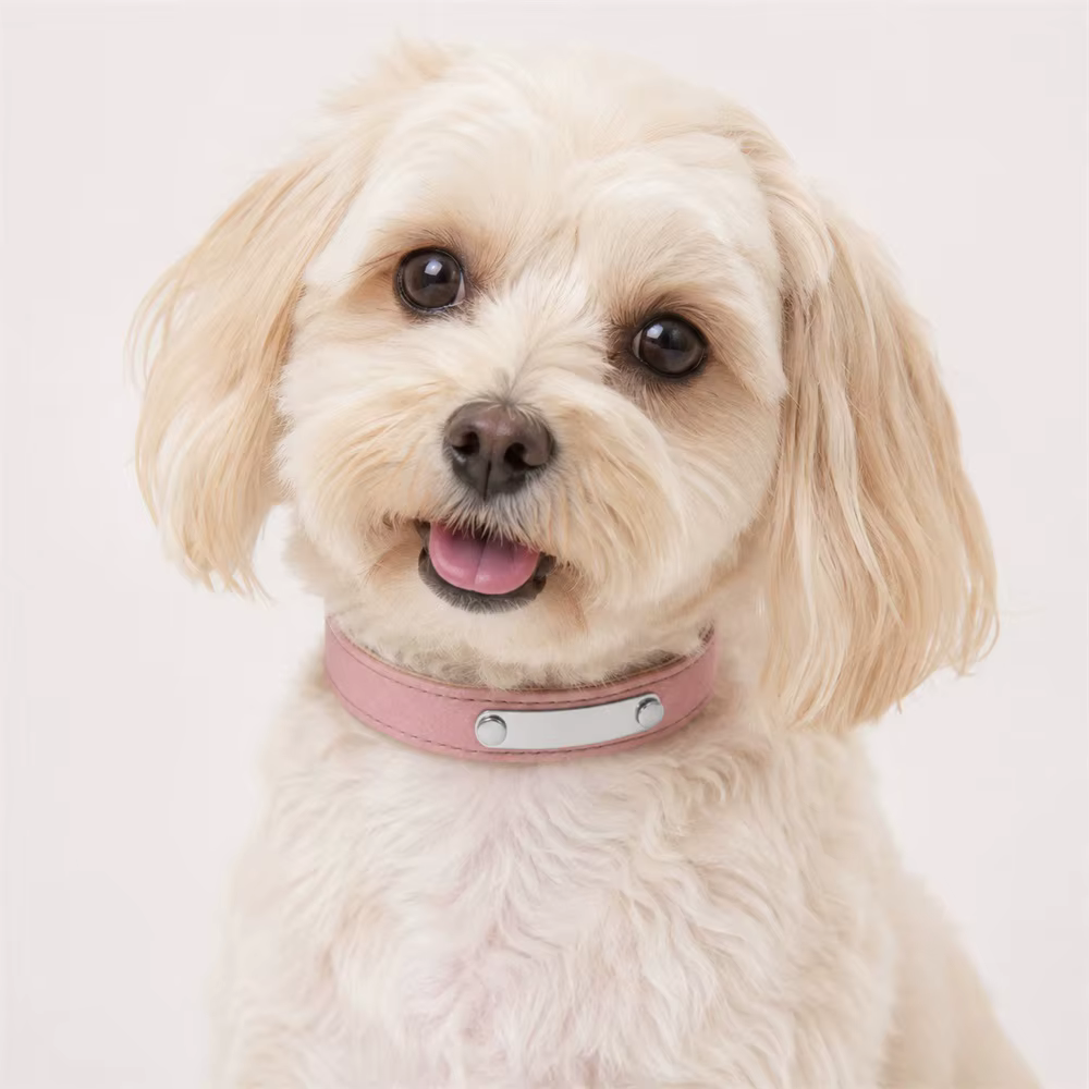 Collar personalizado para perro de cuero con placa grabada - imagen 3