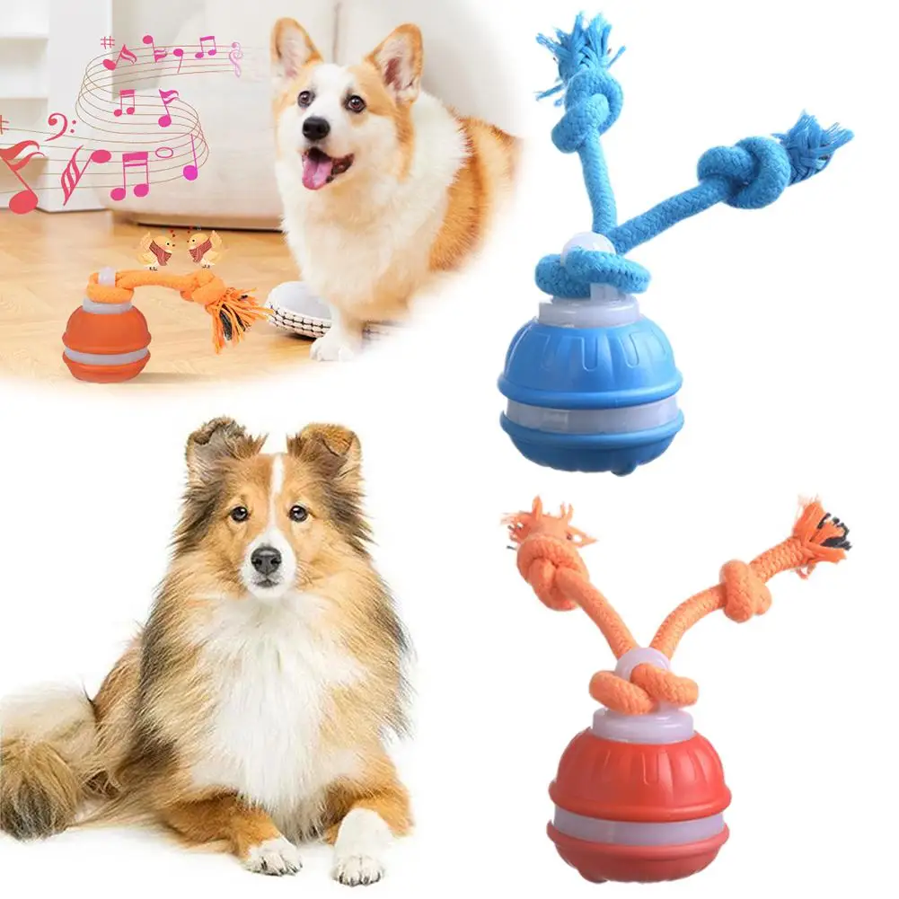 Detalle del material de la pelota de juguete para mascotas