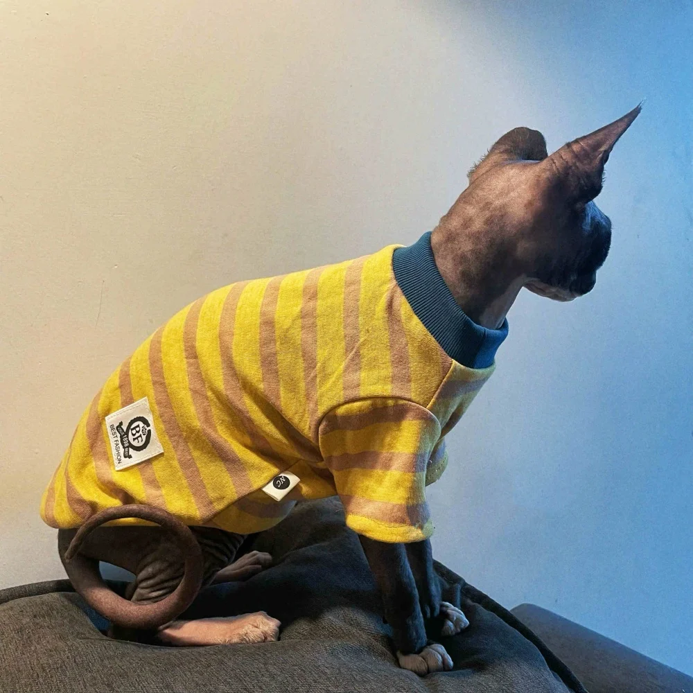 Guía de tallas para gatos