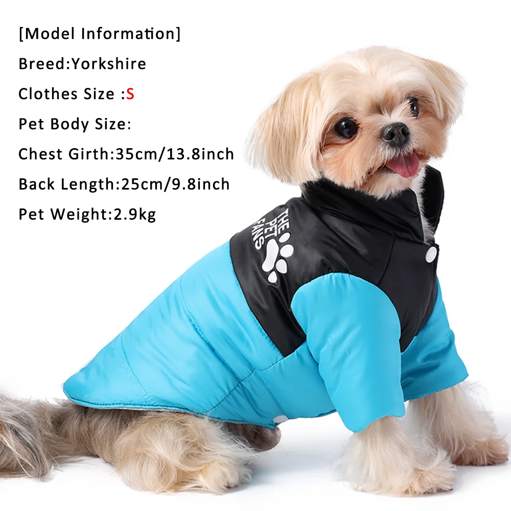 Abrigo reversible Holapet modelo gris-morado en perro Yorkshire