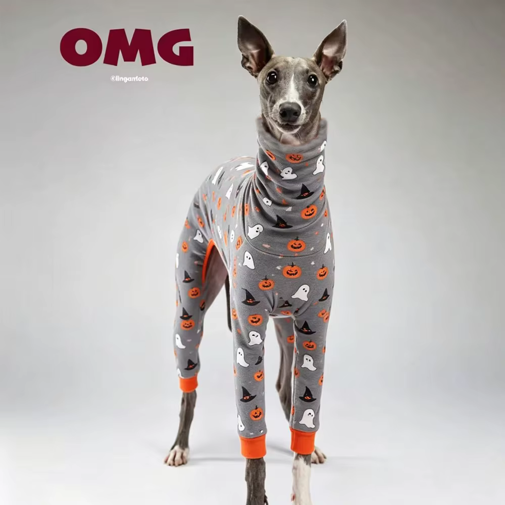 Sudadera cálida de calabaza Halloween para galgos y Whippets - imagen 2
