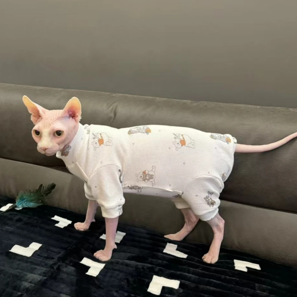 Cat wearing the onesie in different poses