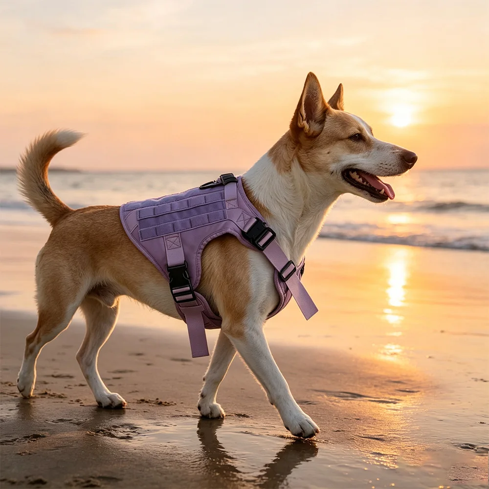Arnés y Correa Tácticos para Perro con Asa – Morado Antichoque para Paseo y Entrenamiento - imagen 2