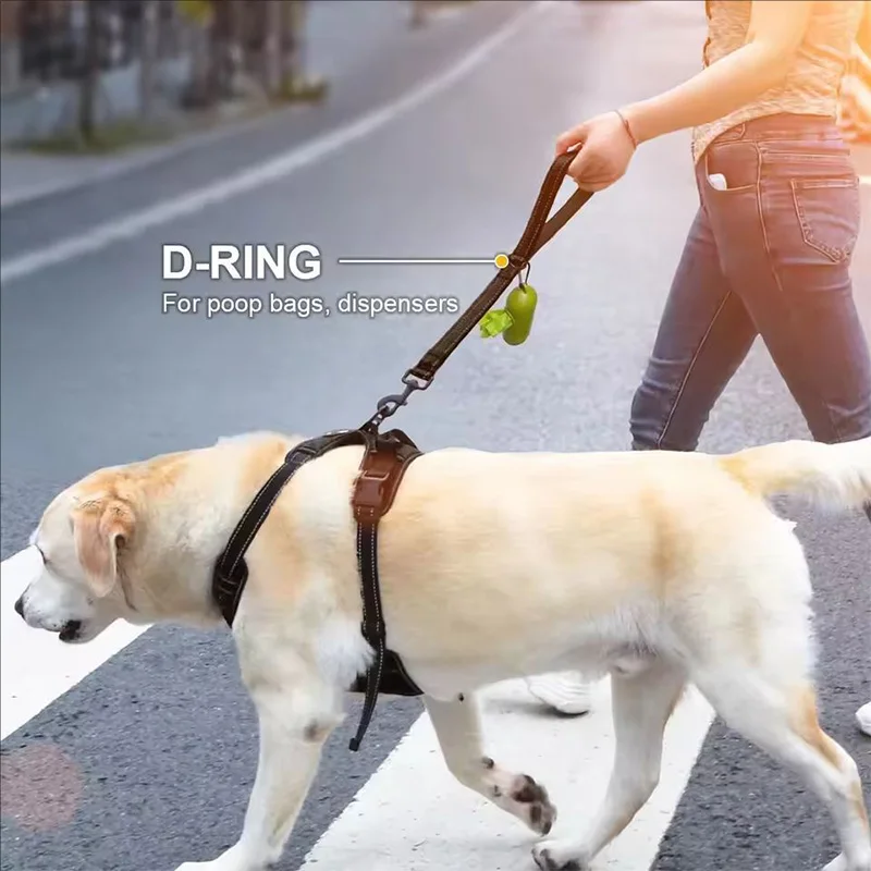 Correa reflectante de nailon con rotación para perros grandes - imagen 2