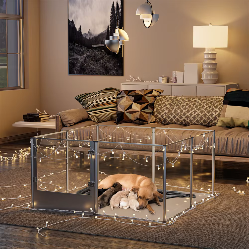Parque acrílico transparente XL para perros y pequeñas mascotas - imagen 5