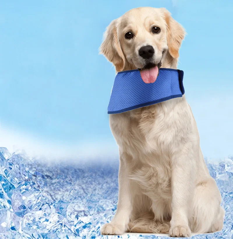 Bandana transpirable ajustable para perros