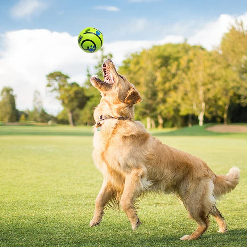 Pelota interactiva con textura antideslizante