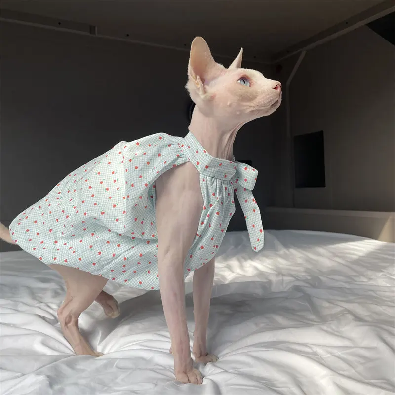 Ropa de verano para gatos Sphynx: vestido de algodón azul claro - imagen 4