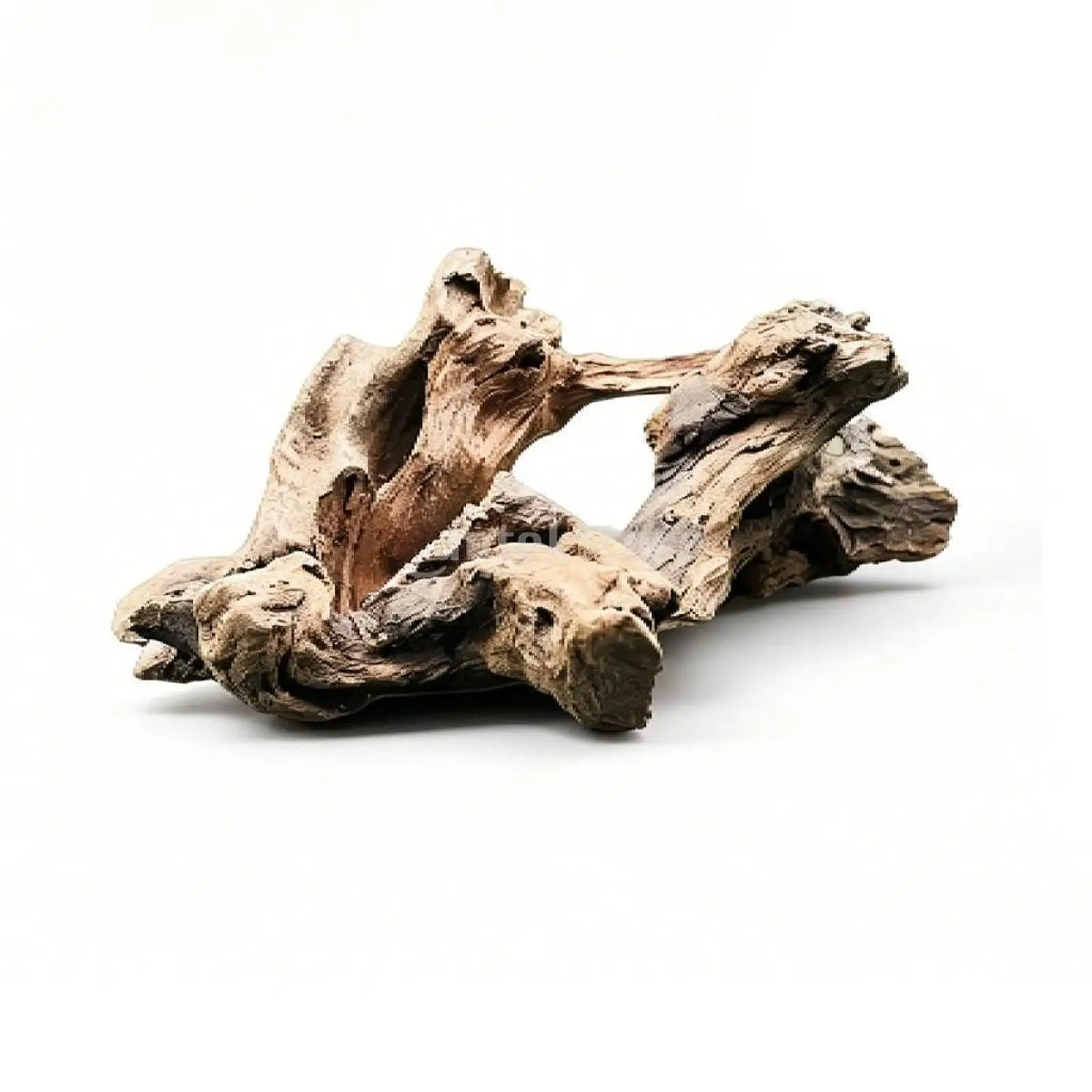 Madera Flotante para Terrarios y Acuarios – Rama Natural para Reptiles y Peces