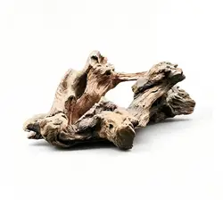 Madera Flotante para Terrarios y Acuarios – Rama Natural para Reptiles y Peces