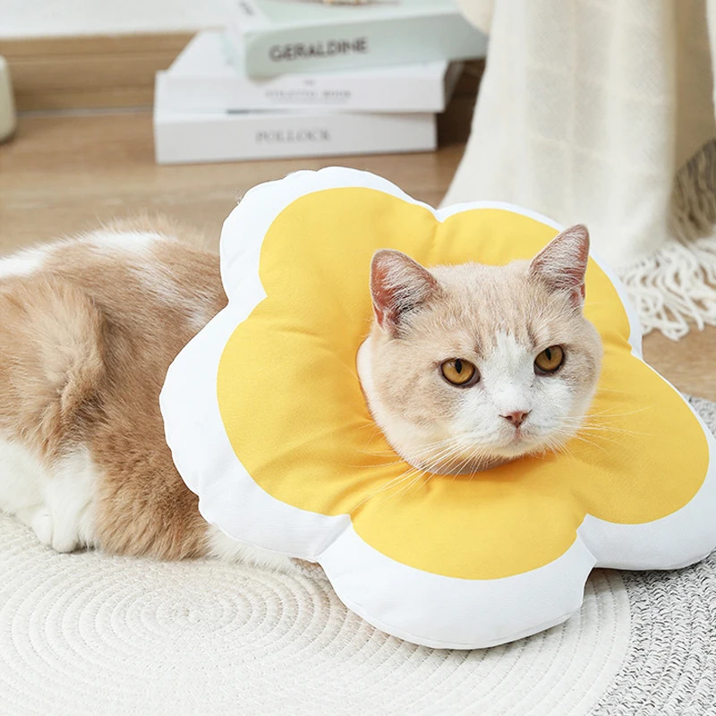 Diadema de gato en uso suave