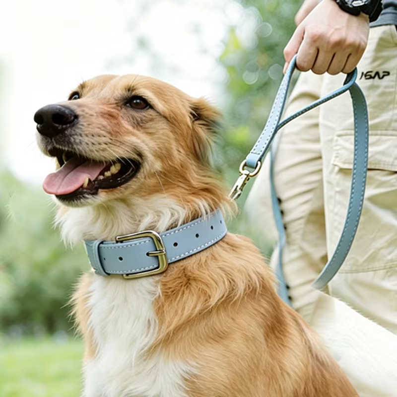 Collar de cuero ajustable para perros pequeños y medianos anti-traction - imagen 3
