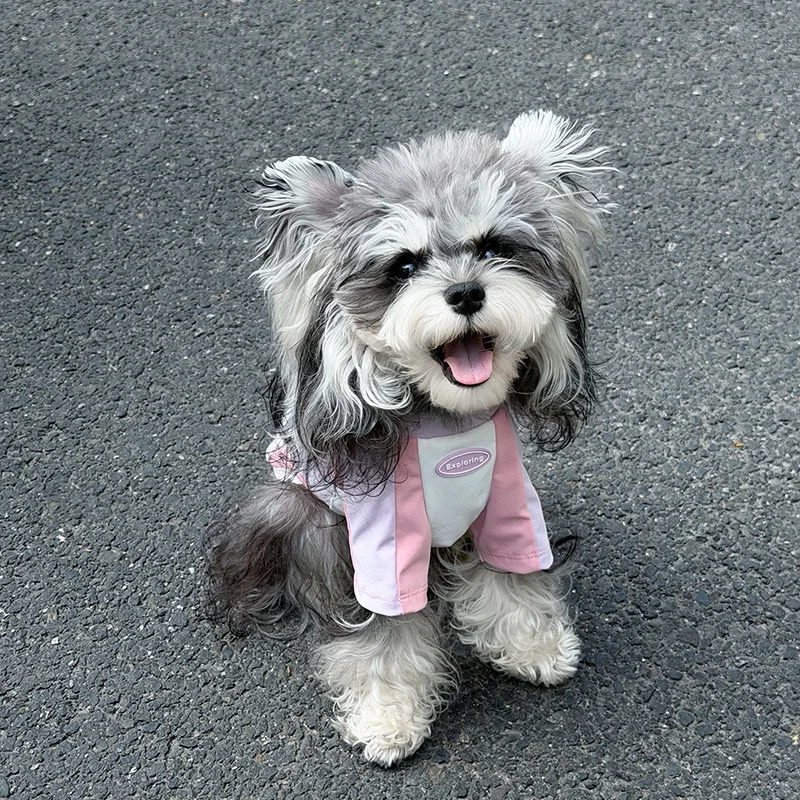 Camiseta deportiva transpirable para perros pequeños, holgada y cómoda