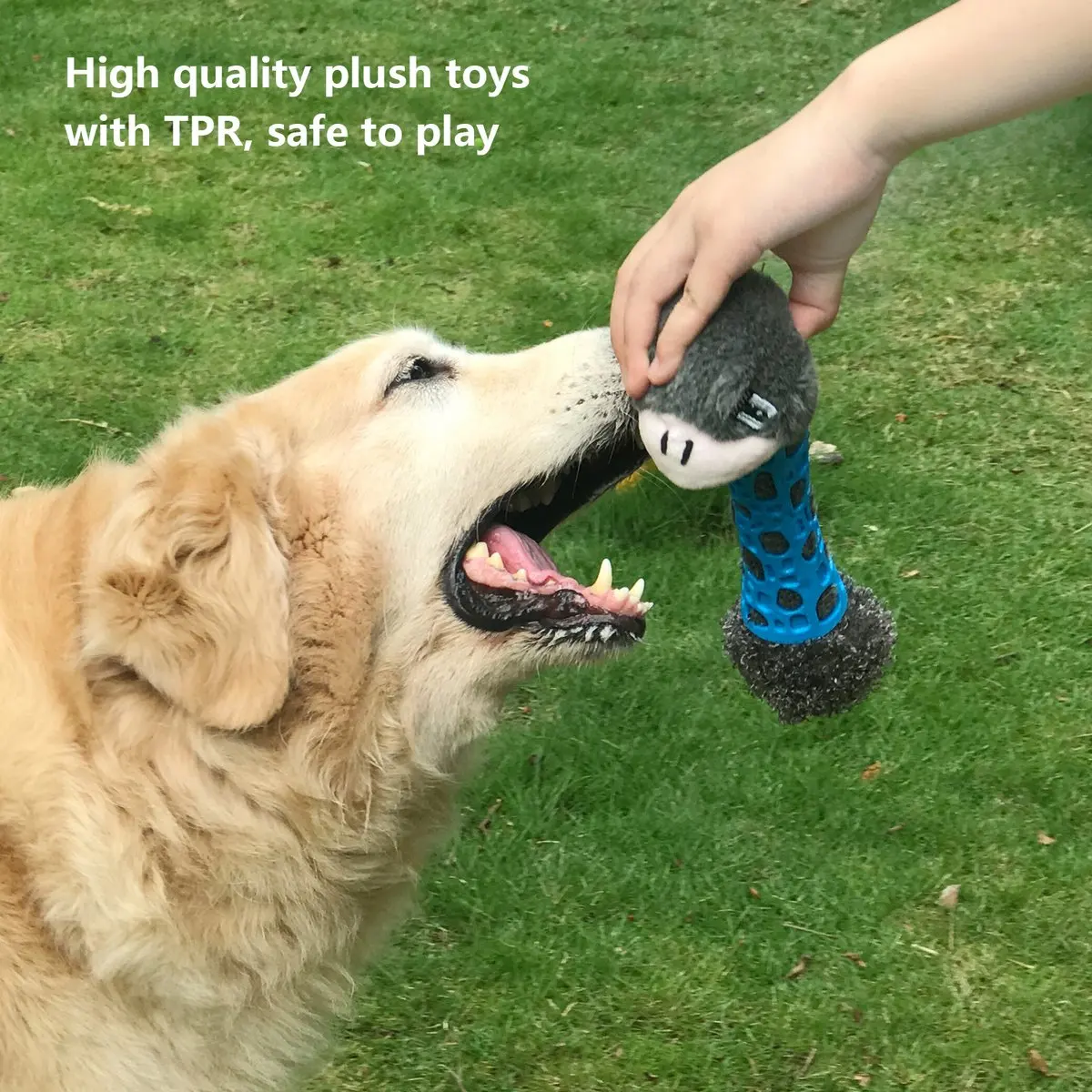 Perro jugando con el juguete y mostrando los dientes