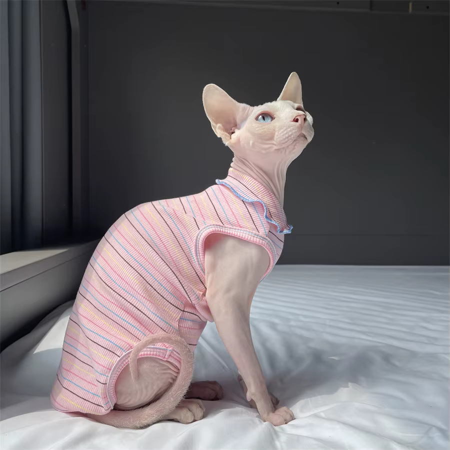 Ropa para gatos Sphynx: camiseta suave algodón a rayas, broche - imagen 4