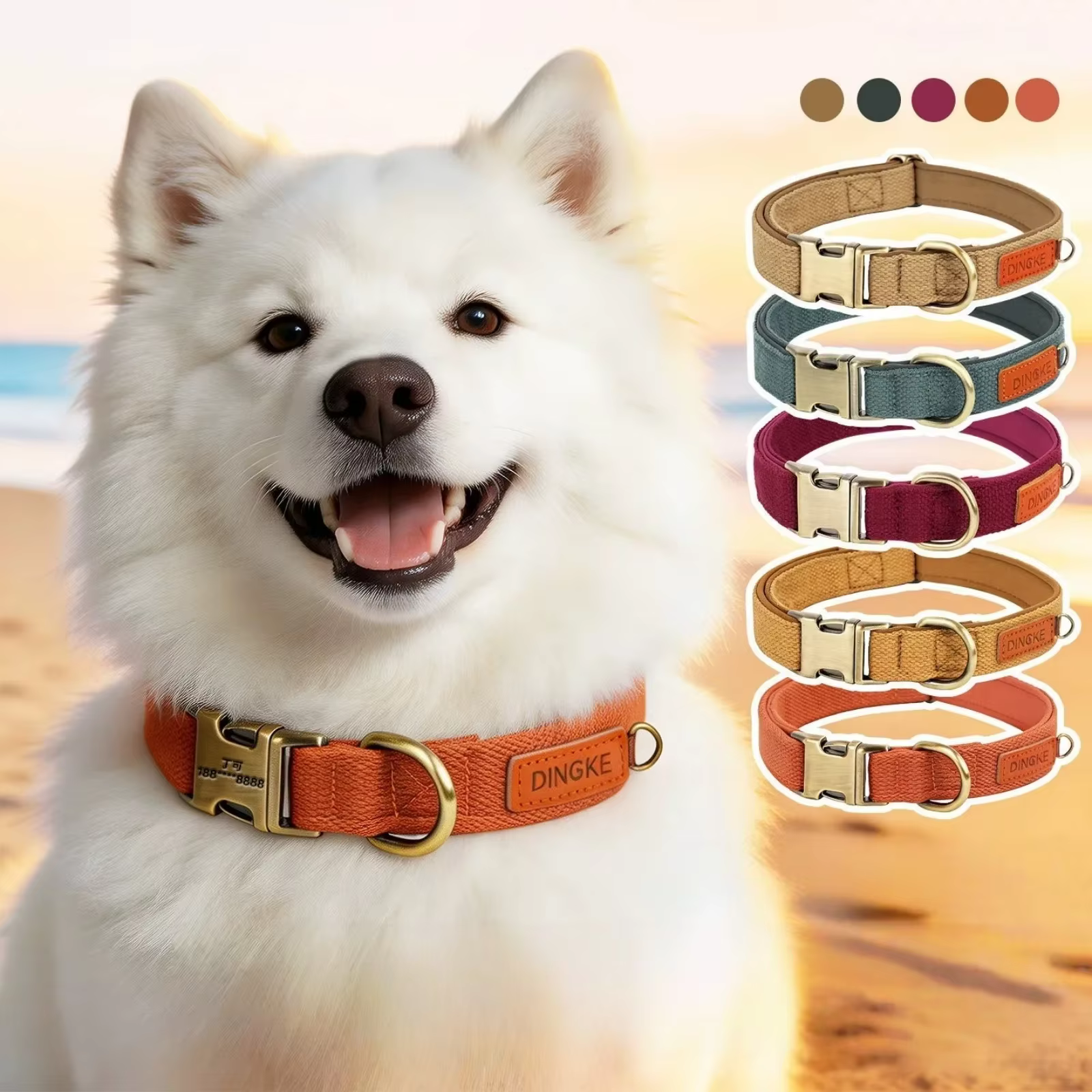 Collar y correa personalizados con placa ID