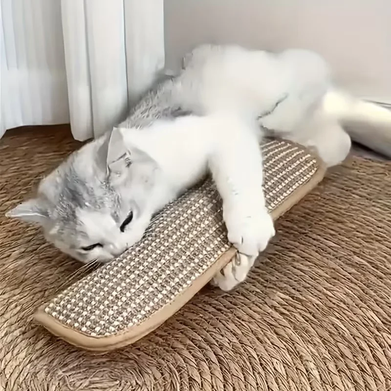 Almohada de juego y rascador para gatos: diversión y calma diaria