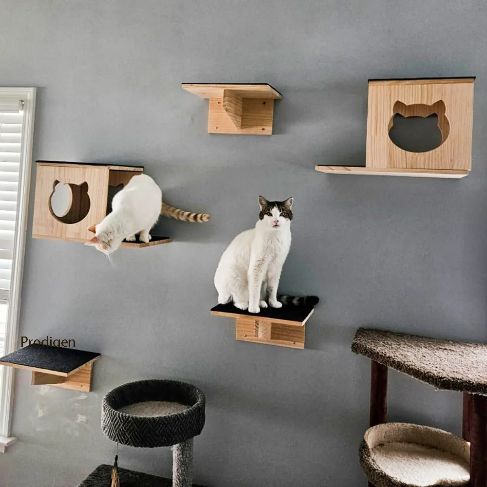 Conjunto montado en pared para gatos