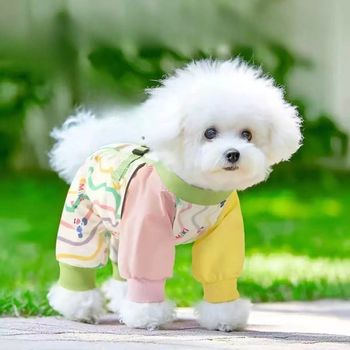 Pantalones antipolvo para perros pequeños y medianos, cuatro estaciones - imagen 4