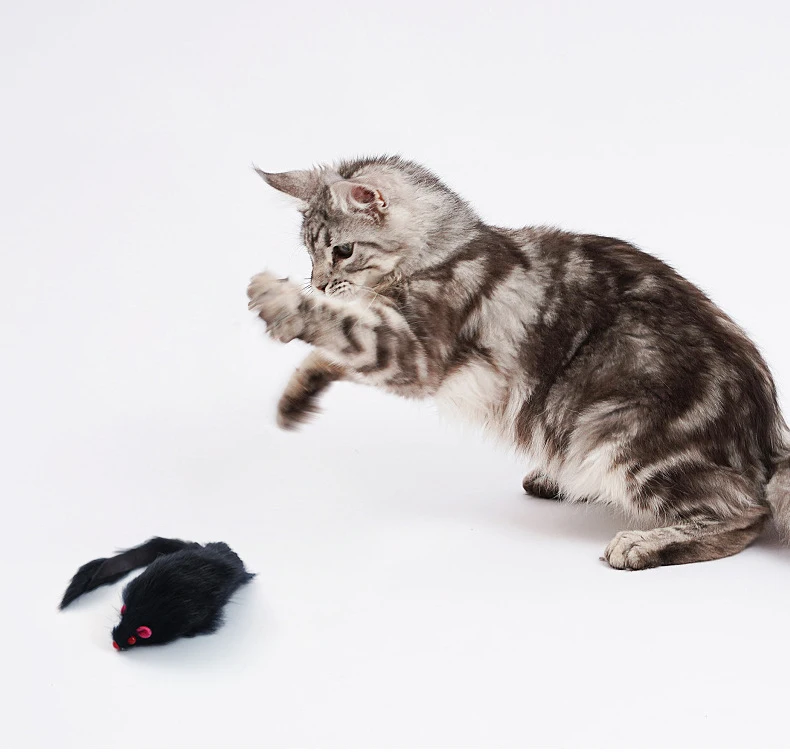 Gato jugando con ratón de felpa